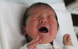 Erbele Zoltán Tamás 