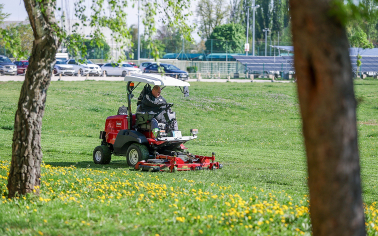 Folyamatos a fűnyírás a város közterületein