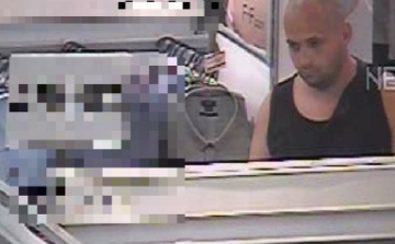 Lopni próbált Győrben, de megijedt és elfutott