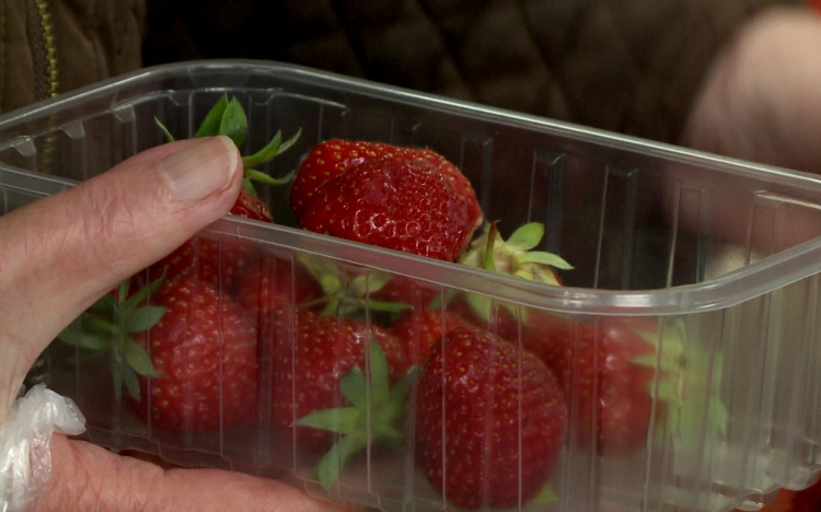 Elindult az eperszezon