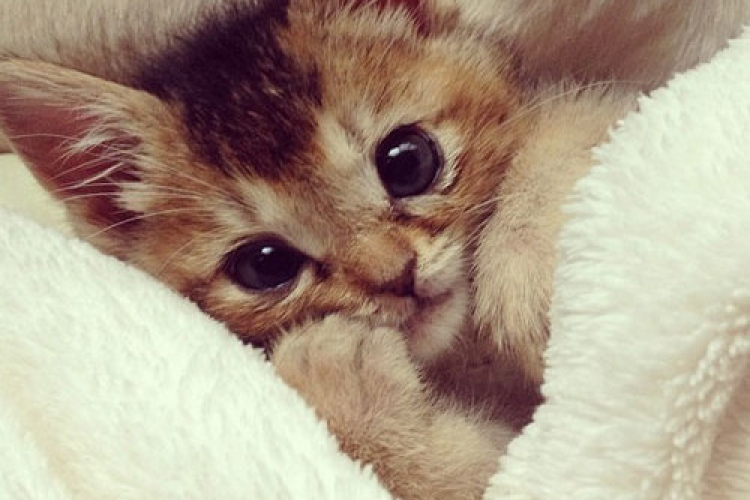 Ugye, még nem kell felkelnem? 