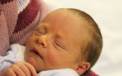 Tóth Zoltán Sándor 