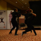 2013.08.24 Szigetköz Szépe 2013.Fotók:adrián