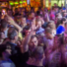 Lapos_Bulifotók_03_29