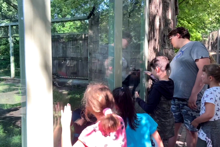 Rohamosan fogynak a helyek a táborokba