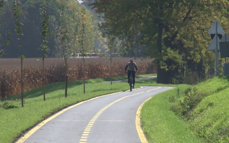 Teljes lett a Bolgányi-kör