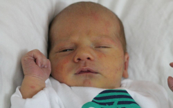 Tuifel Dávid Péter 