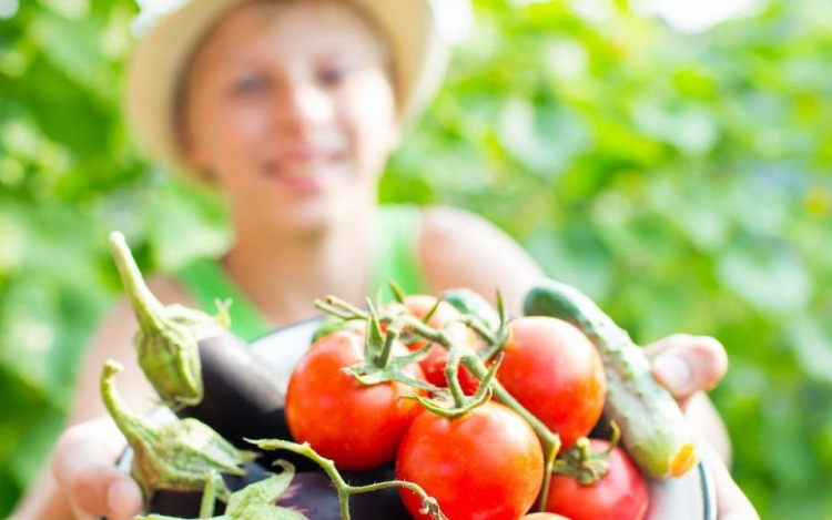 Egyre népszerűbb az iskolakert művelése a diákok körében