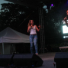 2017.08.18. Győri Augusztus 20. 1. nap Fotók:árpika 