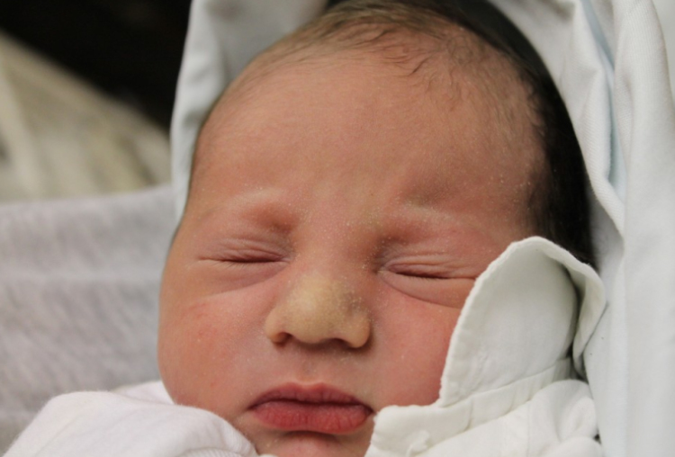 Molnár Zoárd Máté