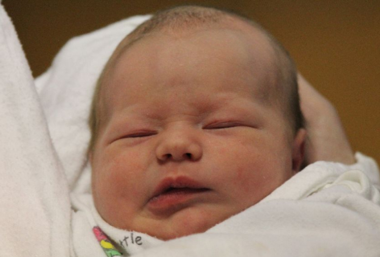 Hoffer Hanna Krisztina 