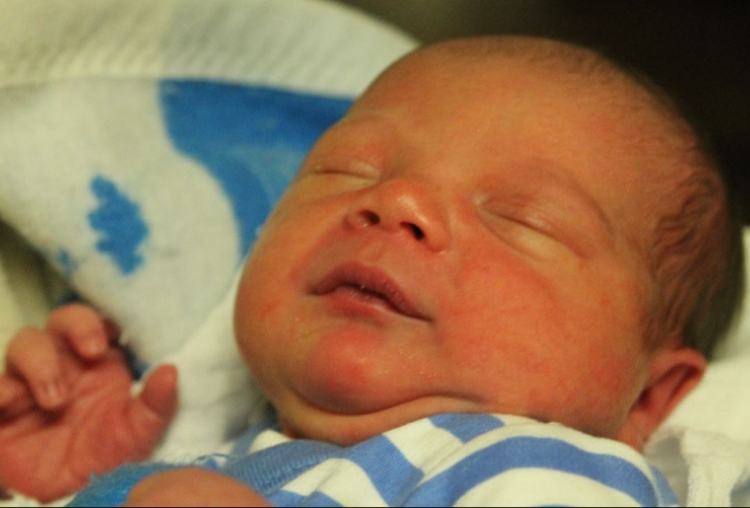 Fáczán Bátor Ármin 