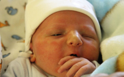 Somogyi Balázs István