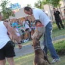 2013.06.23.Vasárnap SzFeszt 4.nap Fotók.árpika