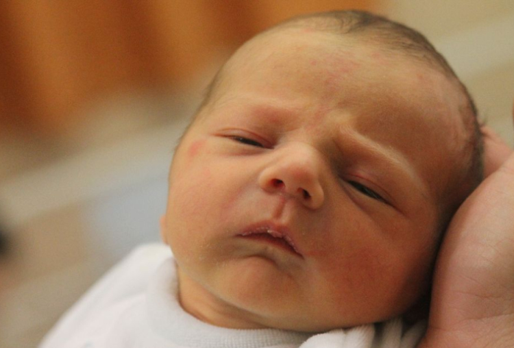 Máder-Csuthy Iconor 