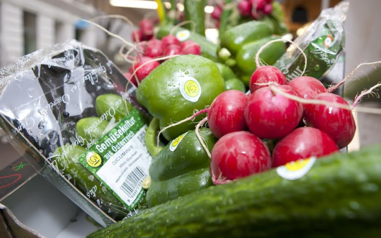 Mezőgazdasági üzemeket állítana át a biogazdálkodásra Bécs 