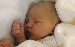 Kálmám-Szemenkár Bertalan