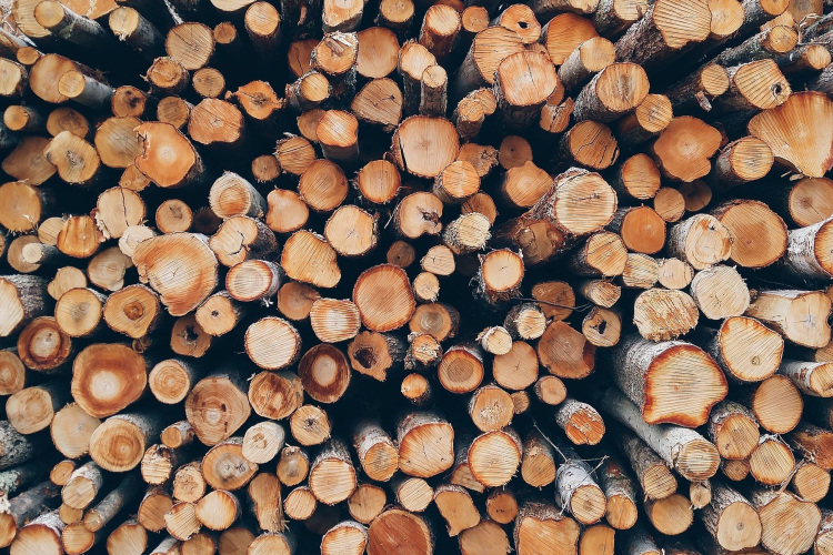 Tűzifát igényelhetnek a rászorulók Győrben