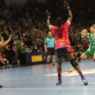 2017.11.17.Győri Audi Eto Kc- Brest Breategne női Bl Kézilabda mérkőzés Fotók:árpika