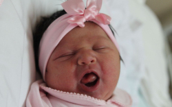 Péntér Fanni Malini