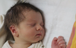 Szűcs Bálint István