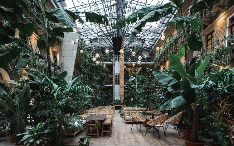 Édenkertben pihenhetünk Budapesten