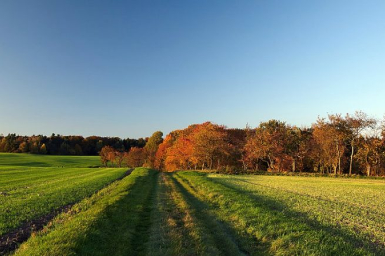 Akár 20 fok is lehet a héten