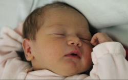 Kanalas Vanda Vivien 