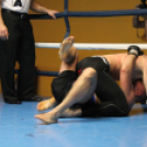 2013.02.16.Szombat Profi MMA És Box Mérkőzés Fotók:árpika