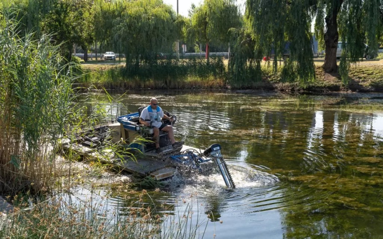 Vágják a hínárt a győri tavakon