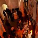 RómerKvelle: Carbovaris, Rustic Shades, Other Planet | Győr, Rómer Ház