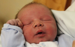 Luksics Bálint Áron