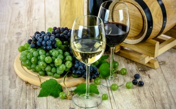 Kiemelkedő minőségű bortermés várható az idén