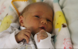 Kőrösi Lujza Villő