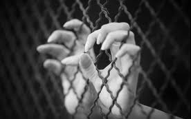 Embercsempész szállította a határsértőket