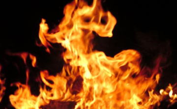 Öt hektáron ég az aljnövényzet Győr közelében