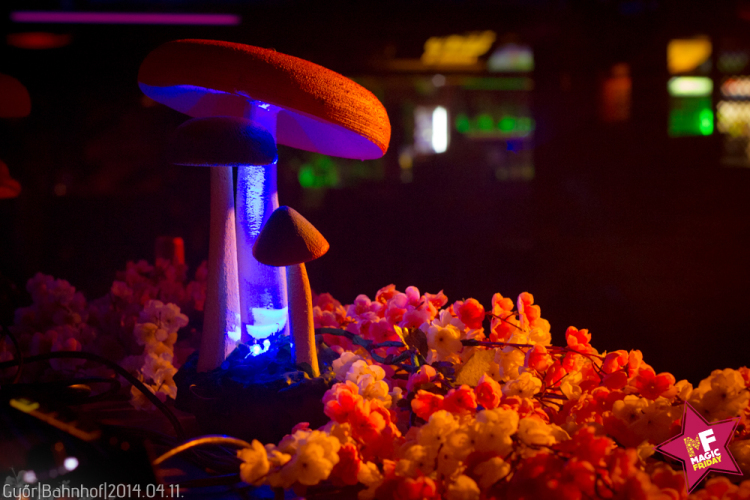 Magic Friday Party 2014.04.11. Péntek