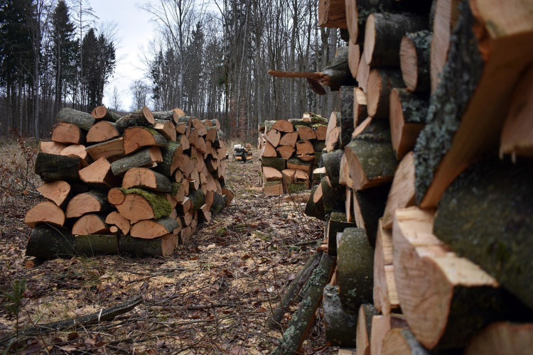 Tizenhárom éve jelenti az otthon melegét