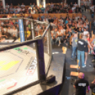 2015.05.09. Profi MMA Gála fotók:árpika