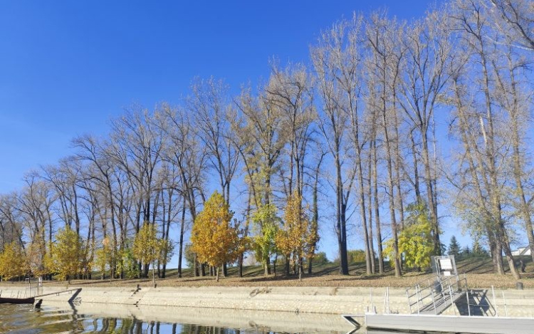 Már vágják a balesetveszélyes fákat