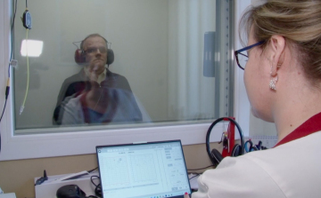 Győrben jártunk utána Van Gogh betegségének