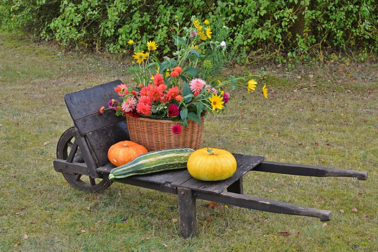 Kis önellátó önkormányzati gazdaság Rábaszentmiklóson