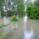 Olvasónk képei az árvízi védekezésről