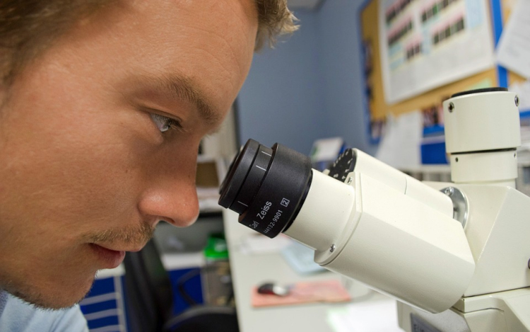 Az eddigi legrészletesebben tárták fel a vastagbélrák genetikai okait brit kutatók