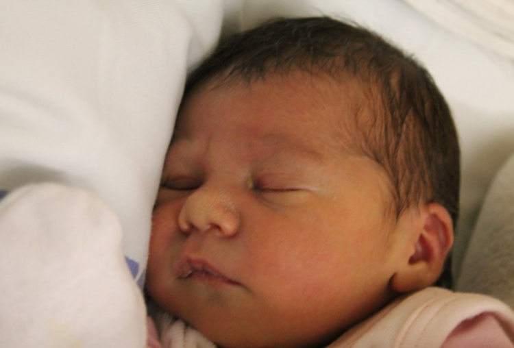 Kulcsár Apolka Anna 