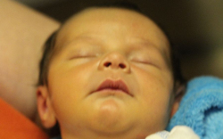 Sárközi Milán józsef 