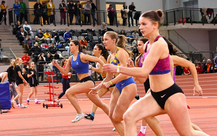 Nyolc érem Nyíregyházáról