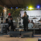 2018.08.20. Győr Augusztus 20. 3. nap Fotók:árpika 