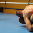 2013.02.16.Szombat Profi MMA És Box Mérkőzés Fotók:árpika