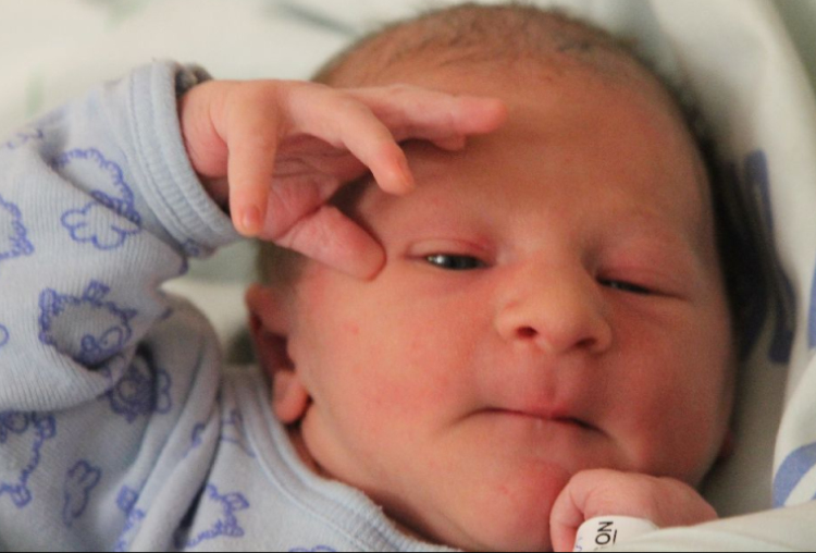 Tamasics Bence Balázs 